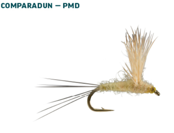 RIO Dry Fly Assortment PMD